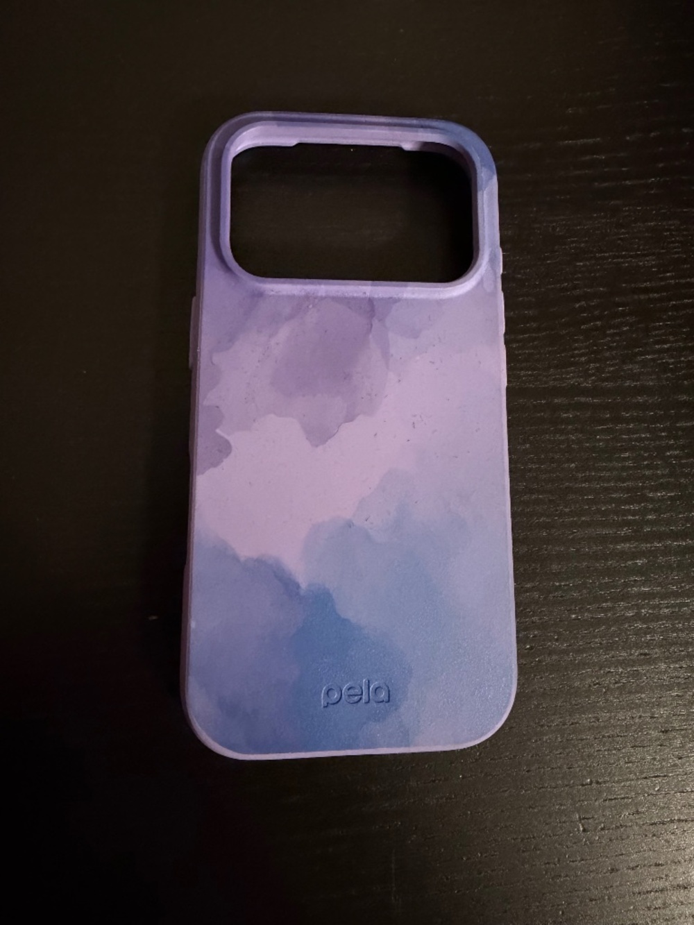 Pela iPhone 17 Pro case